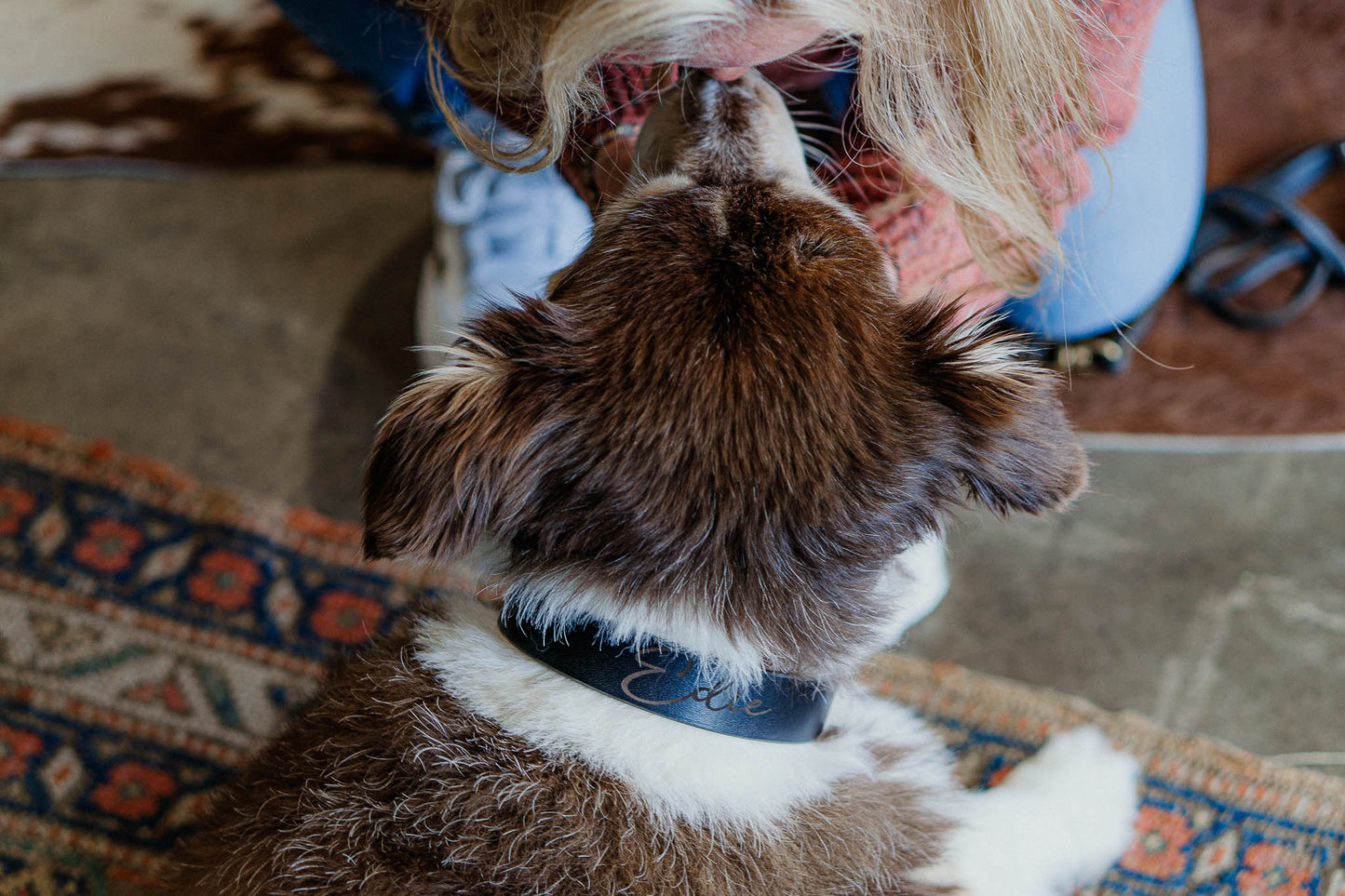 Best FFFriend AirTag Collar — lifestyle shot showing dog profile with collar