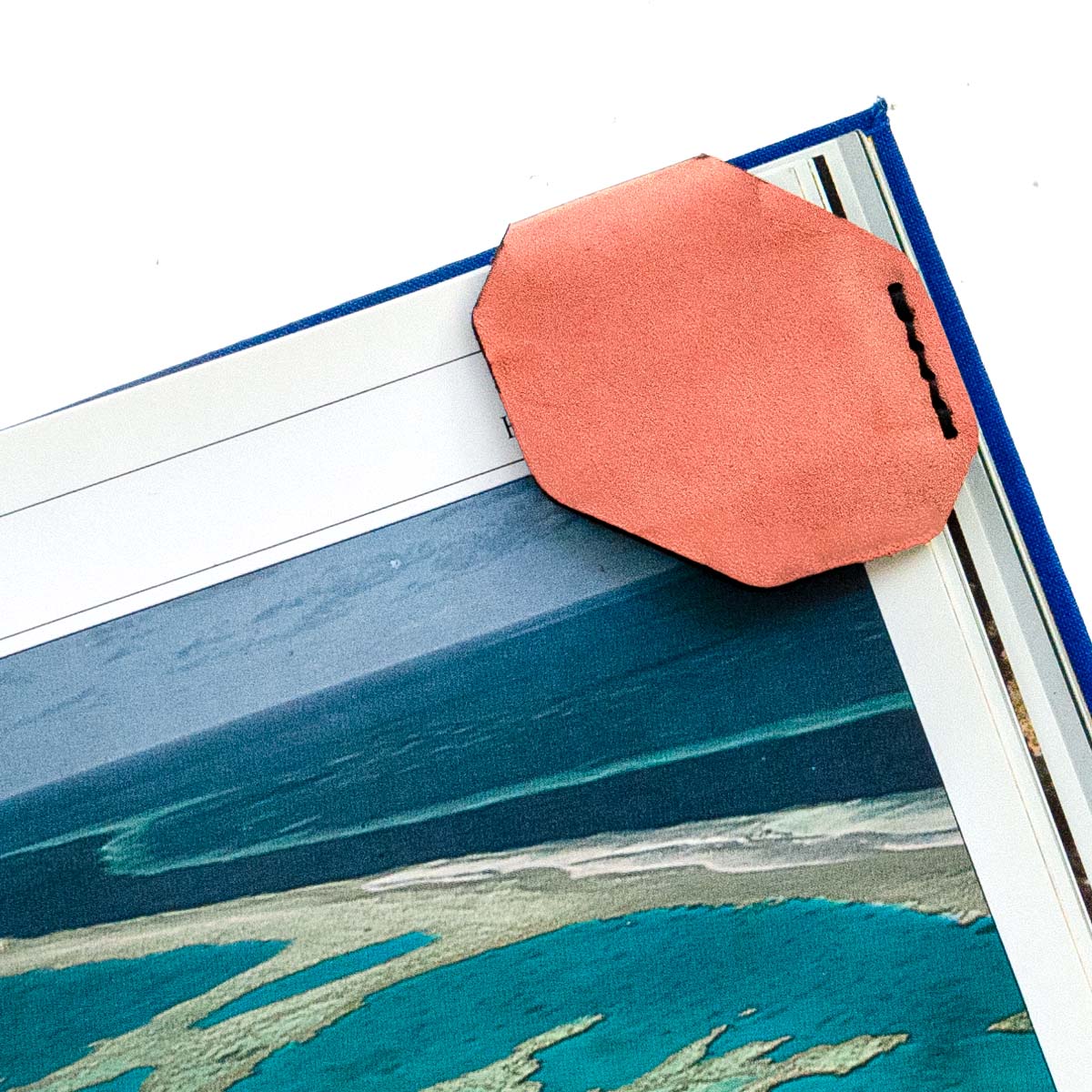 FFF Corner Bookmark in Veg Tan Blush Pink — front view