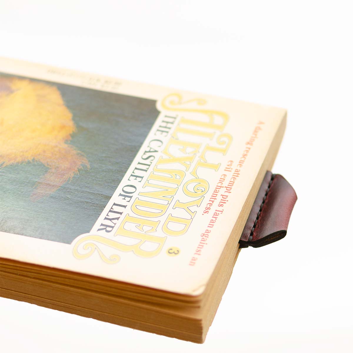 FFF Spine Bookmark — detail showing leather texture and stitching